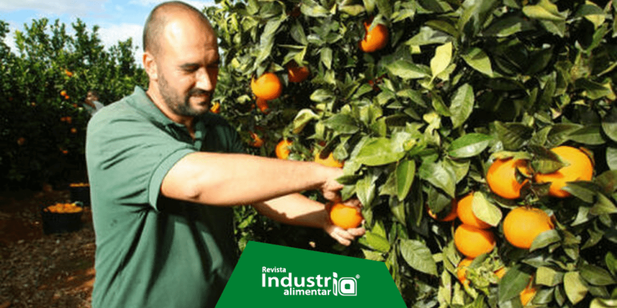 Imagen del artículo Aecoc: "La Covid-19 ha reforzado la percepción del consumidor sobre la cadena agroalimentaria"